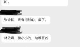 娱乐圈吃瓜手册是真的吗,揭秘娱乐圈背后的真相与传闻